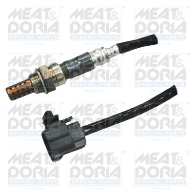 Oxygen Sensor